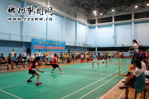 badminton1.jpg