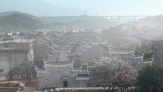 02.gif